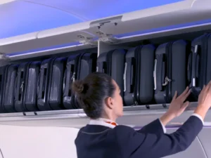 EFW will establish a state-of-the-art manufacturing line for Airspace L Bins by the end of the yea