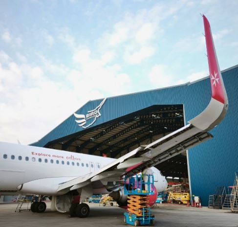 Bird Aviation